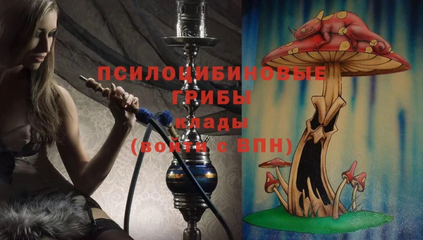 гашик Абдулино