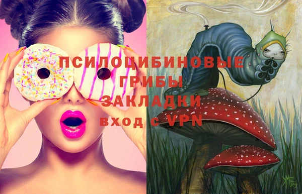 гашик Абдулино