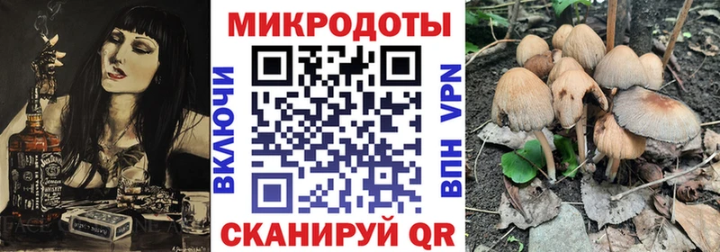 Галлюциногенные грибы Cubensis  где купить наркотик  Дмитровск 
